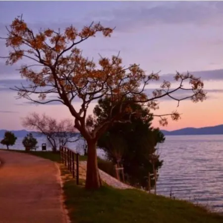 Fontana Felicita - Near The Kolovare *