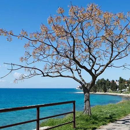 아파트 Fontana Felicita - Near The Kolovare