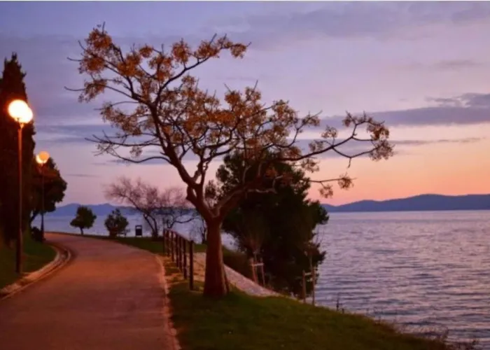 Fontana Felicita - Near The Kolovare *