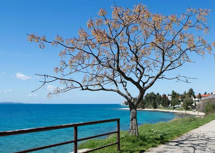 Apartman Fontana Felicita - Near The Kolovare